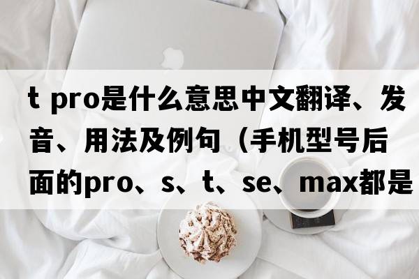 t pro是什么意思中文翻譯、發(fā)音、用法及例句（手機型號后面的Pro、S、T、SE、Max都是什么意思？）