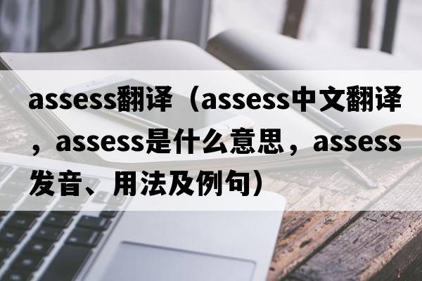 assess翻譯（assess中文翻譯，assess是什么意思，assess發(fā)音、用法及例句）