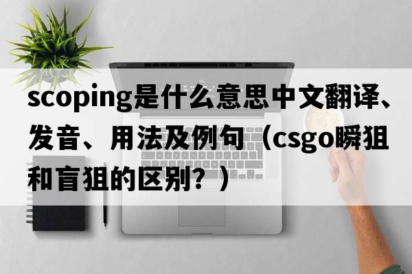 scoping是什么意思中文翻譯、發(fā)音、用法及例句（csgo瞬狙和盲狙的區別？）