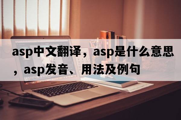 asp中文翻譯，asp是什么意思，asp發(fā)音、用法及例句