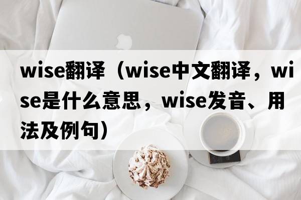 wise翻譯（wise中文翻譯，wise是什么意思，wise發(fā)音、用法及例句）