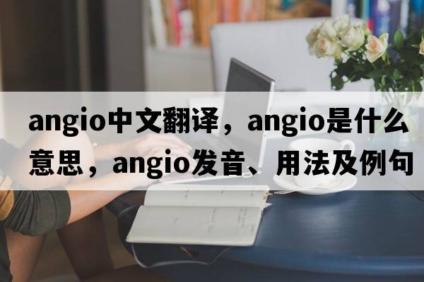 Angio中文翻譯，Angio是什么意思，Angio發(fā)音、用法及例句
