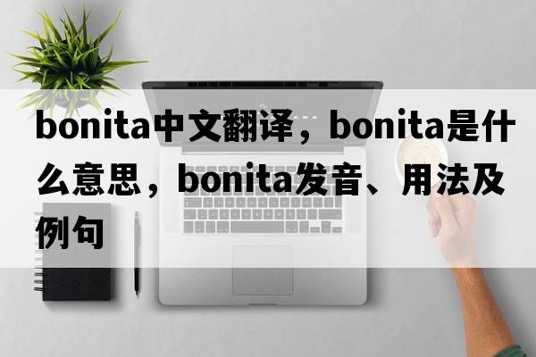 bonita中文翻譯，bonita是什么意思，bonita發(fā)音、用法及例句
