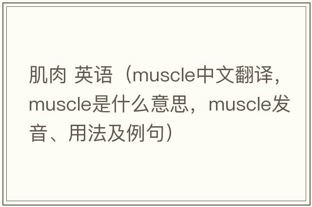 肌肉 英語(yǔ)（muscle中文翻譯，muscle是什么意思，muscle發(fā)音、用法及例句）