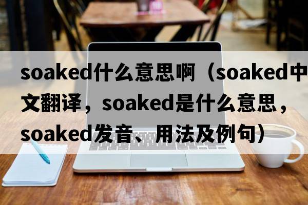 soaked什么意思?。╯oaked中文翻譯，soaked是什么意思，soaked發(fā)音、用法及例句）