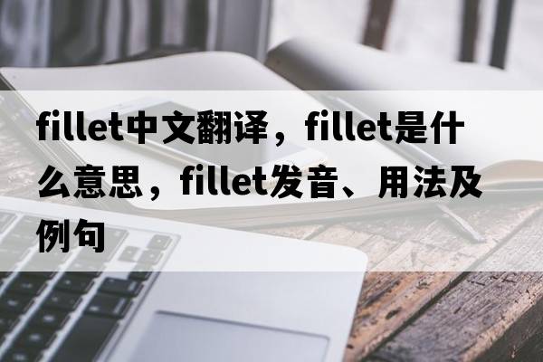 fillet中文翻譯，fillet是什么意思，fillet發(fā)音、用法及例句