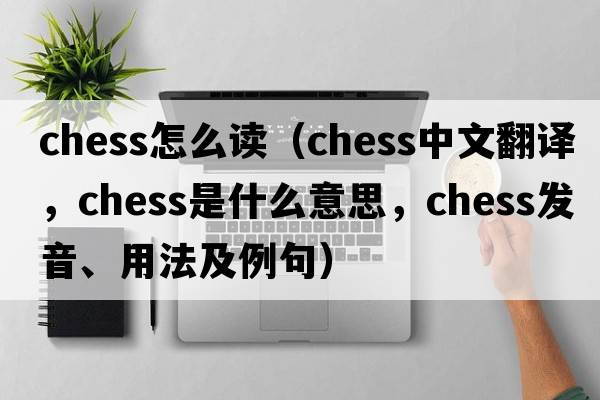 chess怎么讀（chess中文翻譯，chess是什么意思，chess發(fā)音、用法及例句）