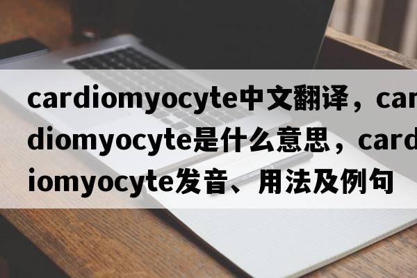 cardiomyocyte中文翻譯，cardiomyocyte是什么意思，cardiomyocyte發(fā)音、用法及例句