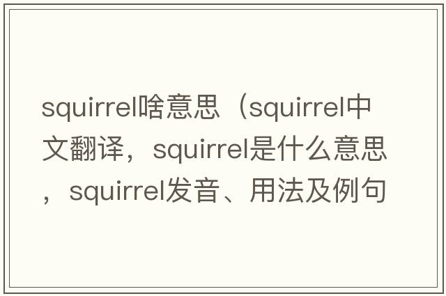 squirrel啥意思（squirrel中文翻譯，squirrel是什么意思，squirrel發(fā)音、用法及例句）