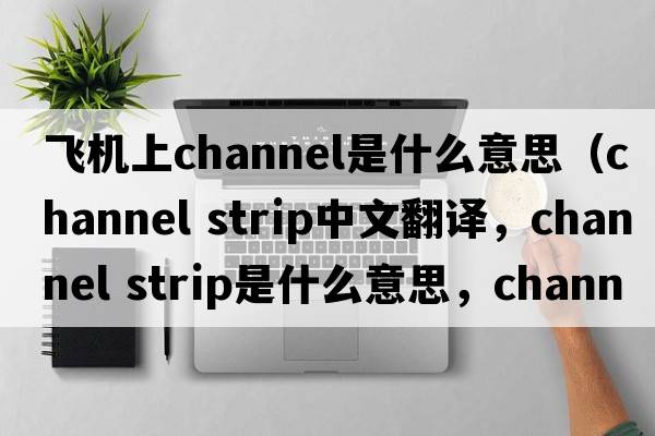 飛機上channel是什么意思（channel strip中文翻譯，channel strip是什么意思，channel strip發(fā)音、用法及例句）