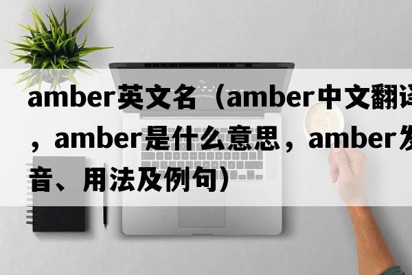 amber英文名（amber中文翻譯，amber是什么意思，amber發(fā)音、用法及例句）
