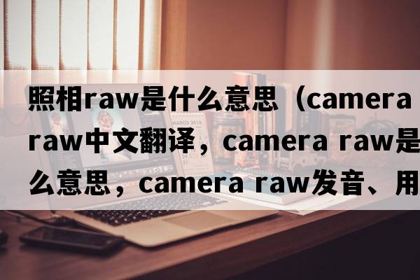 照相raw是什么意思（camera raw中文翻譯，camera raw是什么意思，camera raw發(fā)音、用法及例句）