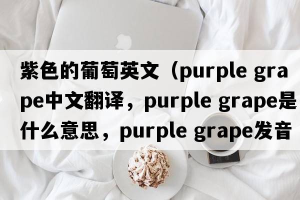 紫色的葡萄英文（purple grape中文翻譯，purple grape是什么意思，purple grape發(fā)音、用法及例句）
