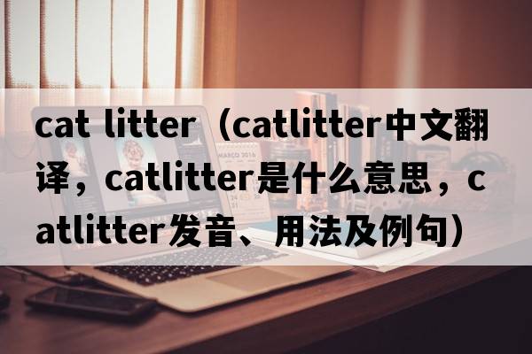 cat litter（catlitter中文翻譯，catlitter是什么意思，catlitter發(fā)音、用法及例句）