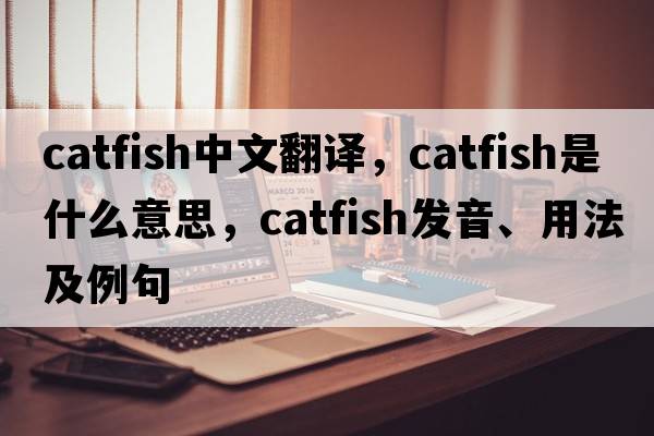 catfish中文翻譯，catfish是什么意思，catfish發(fā)音、用法及例句