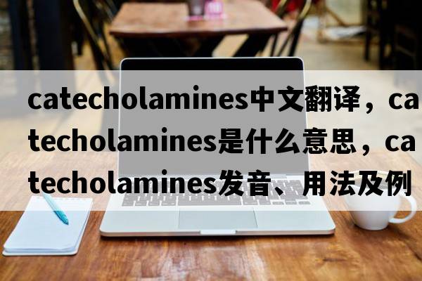 catecholamines中文翻譯，catecholamines是什么意思，catecholamines發(fā)音、用法及例句