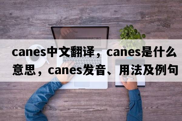 canes中文翻譯，canes是什么意思，canes發(fā)音、用法及例句