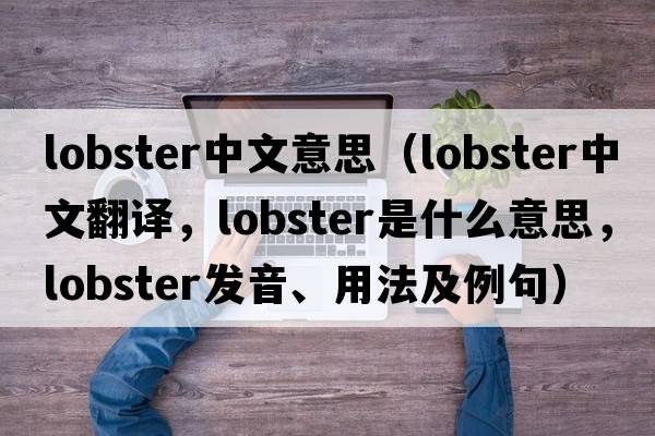 lobster中文意思（lobster中文翻譯，lobster是什么意思，lobster發(fā)音、用法及例句）