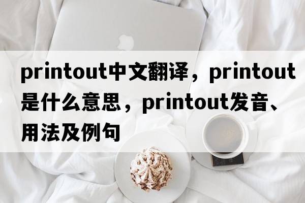 printout中文翻譯，printout是什么意思，printout發(fā)音、用法及例句