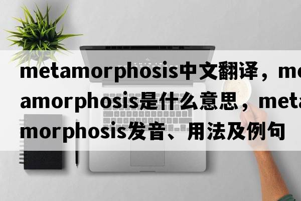 metamorphosis中文翻譯，metamorphosis是什么意思，metamorphosis發(fā)音、用法及例句