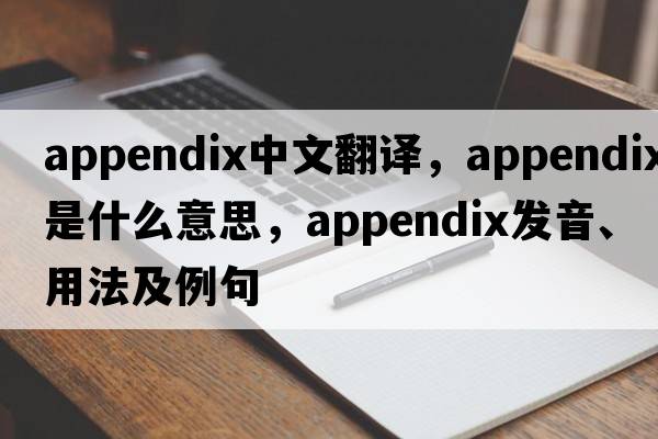 appendix中文翻譯，appendix是什么意思，appendix發(fā)音、用法及例句