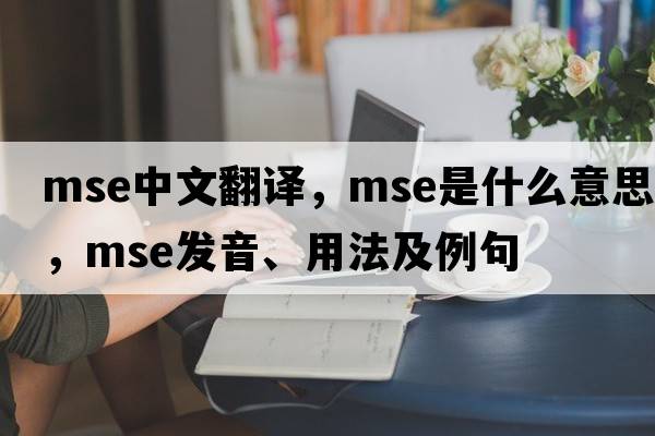 mse中文翻譯，mse是什么意思，mse發(fā)音、用法及例句