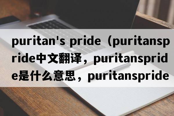 puritan's pride（puritanspride中文翻譯，puritanspride是什么意思，puritanspride發(fā)音、用法及例句）