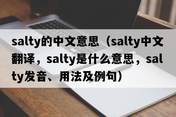salty的中文意思（salty中文翻譯，salty是什么意思，salty發(fā)音、用法及例句）