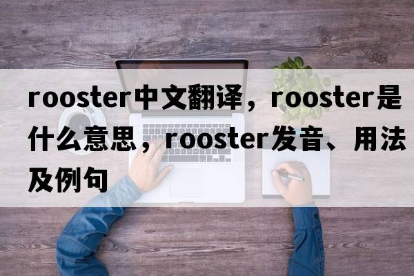 rooster中文翻譯，rooster是什么意思，rooster發(fā)音、用法及例句