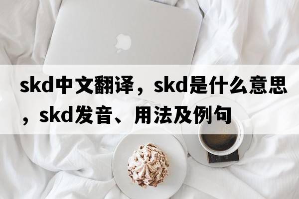 skd中文翻譯，skd是什么意思，skd發(fā)音、用法及例句