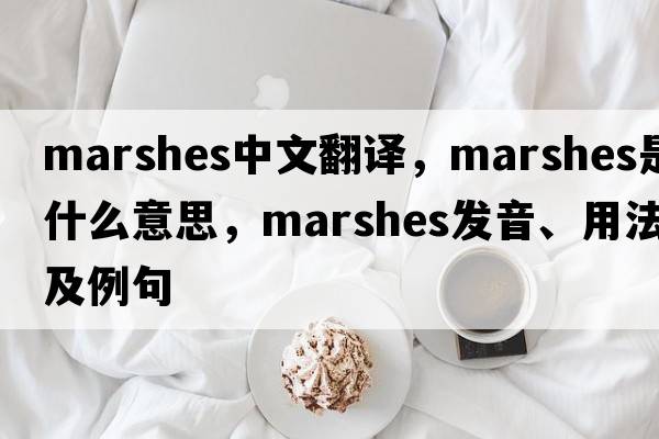 marshes中文翻譯，marshes是什么意思，marshes發(fā)音、用法及例句