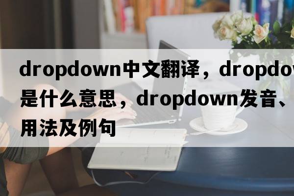 dropdown中文翻譯，dropdown是什么意思，dropdown發(fā)音、用法及例句