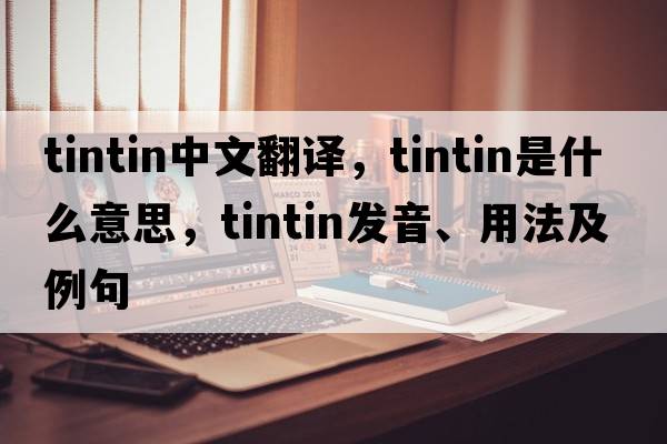 Tintin中文翻譯，Tintin是什么意思，Tintin發(fā)音、用法及例句
