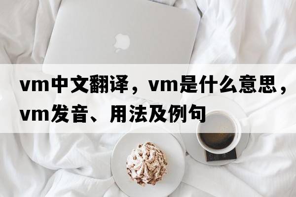 vm中文翻譯，vm是什么意思，vm發(fā)音、用法及例句