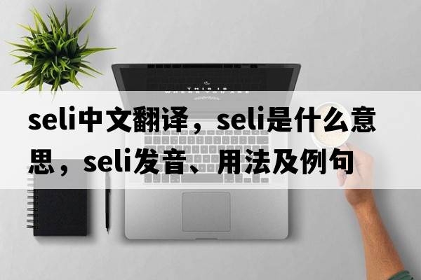 SELI中文翻譯，SELI是什么意思，SELI發(fā)音、用法及例句