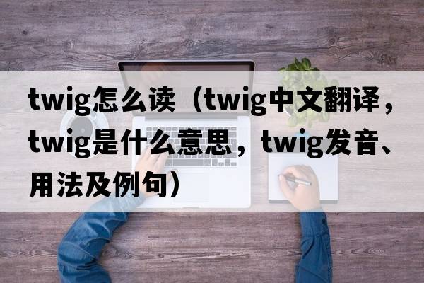 twig怎么讀（twig中文翻譯，twig是什么意思，twig發(fā)音、用法及例句）