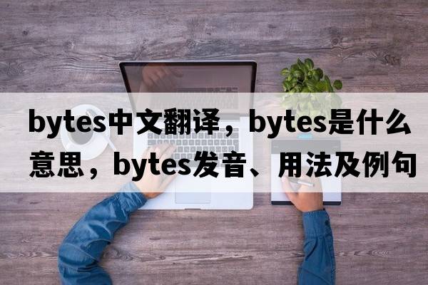 bytes中文翻譯，bytes是什么意思，bytes發(fā)音、用法及例句