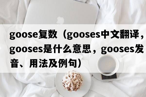 goose復數（gooses中文翻譯，gooses是什么意思，gooses發(fā)音、用法及例句）