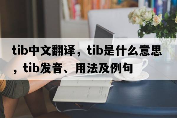 tib中文翻譯，tib是什么意思，tib發(fā)音、用法及例句