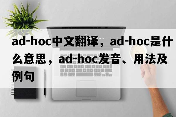 ad-hoc中文翻譯，ad-hoc是什么意思，ad-hoc發(fā)音、用法及例句