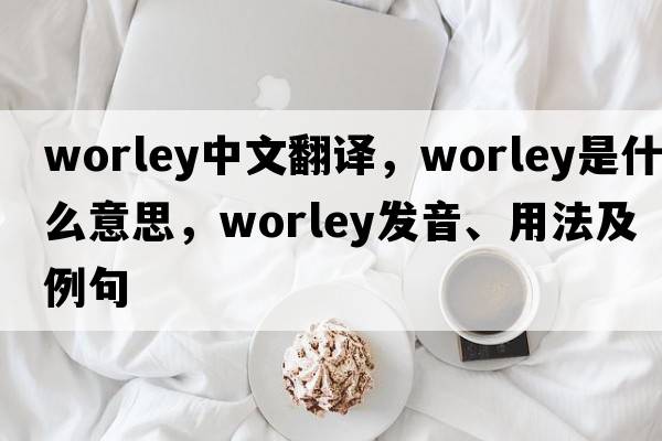 Worley中文翻譯，Worley是什么意思，Worley發(fā)音、用法及例句