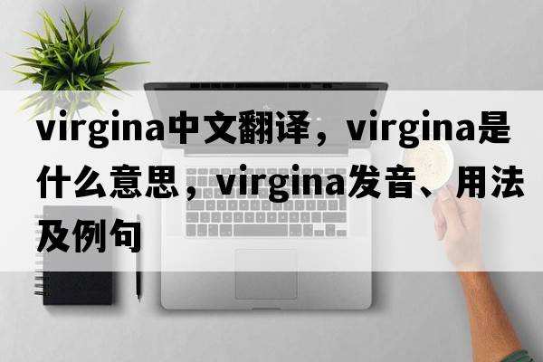 virgina中文翻譯，virgina是什么意思，virgina發(fā)音、用法及例句