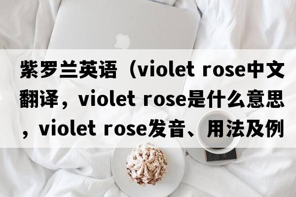 紫羅蘭英語(yǔ)（violet rose中文翻譯，violet rose是什么意思，violet rose發(fā)音、用法及例句）