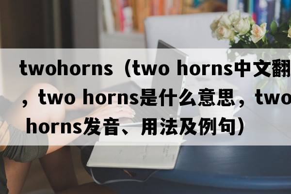 twohorns（two horns中文翻譯，two horns是什么意思，two horns發(fā)音、用法及例句）