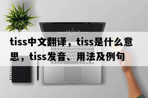 TISS中文翻譯，TISS是什么意思，TISS發(fā)音、用法及例句