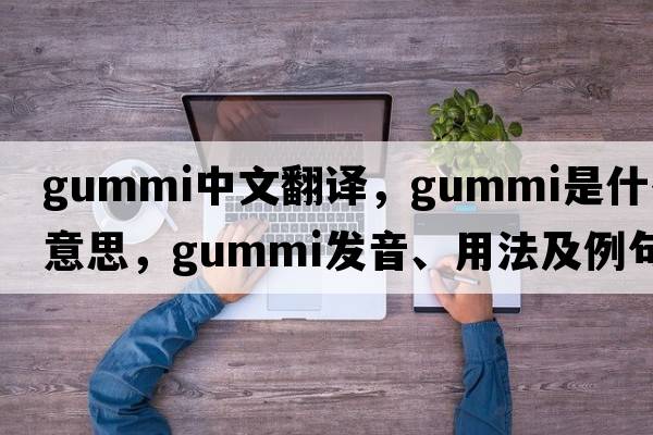 gummi中文翻譯，gummi是什么意思，gummi發(fā)音、用法及例句