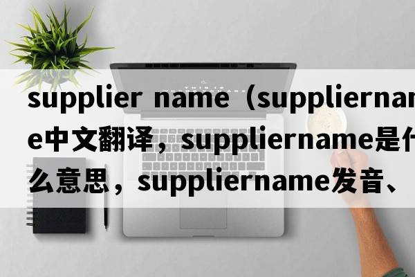 supplier name（suppliername中文翻譯，suppliername是什么意思，suppliername發(fā)音、用法及例句）