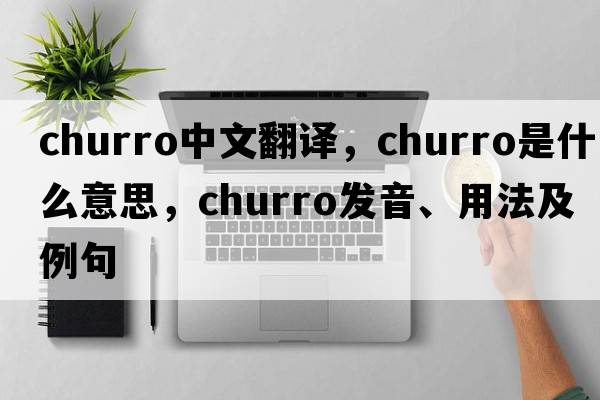 churro中文翻譯，churro是什么意思，churro發(fā)音、用法及例句