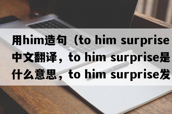 用him造句（to him surprise中文翻譯，to him surprise是什么意思，to him surprise發(fā)音、用法及例句）