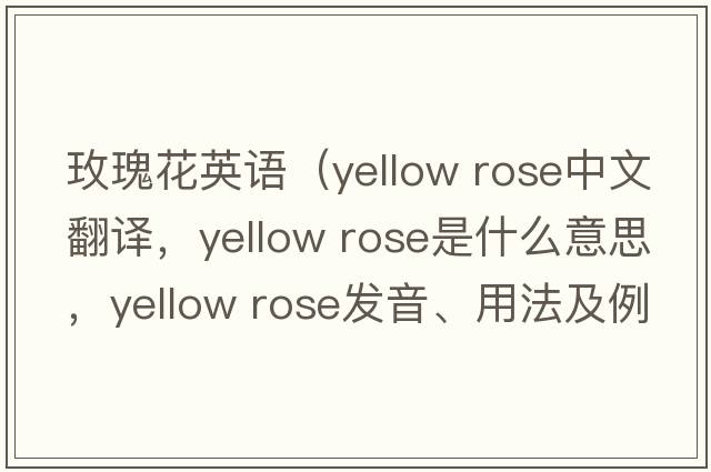 玫瑰花英語(yǔ)（yellow rose中文翻譯，yellow rose是什么意思，yellow rose發(fā)音、用法及例句）